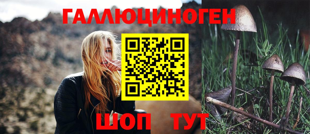 Псилоцибиновые грибы мухоморы Югорск