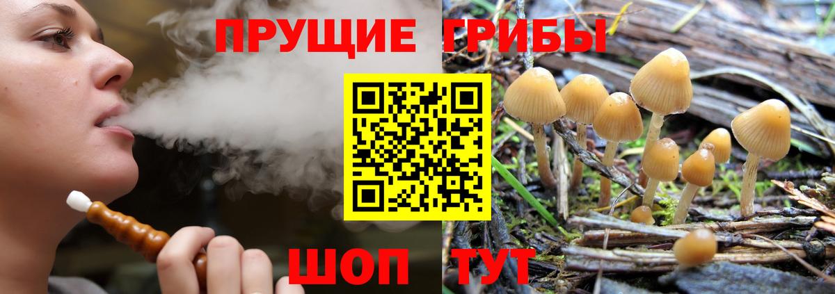 Югорск  Псилоцибиновые грибы мухоморы  Вход с VPN 